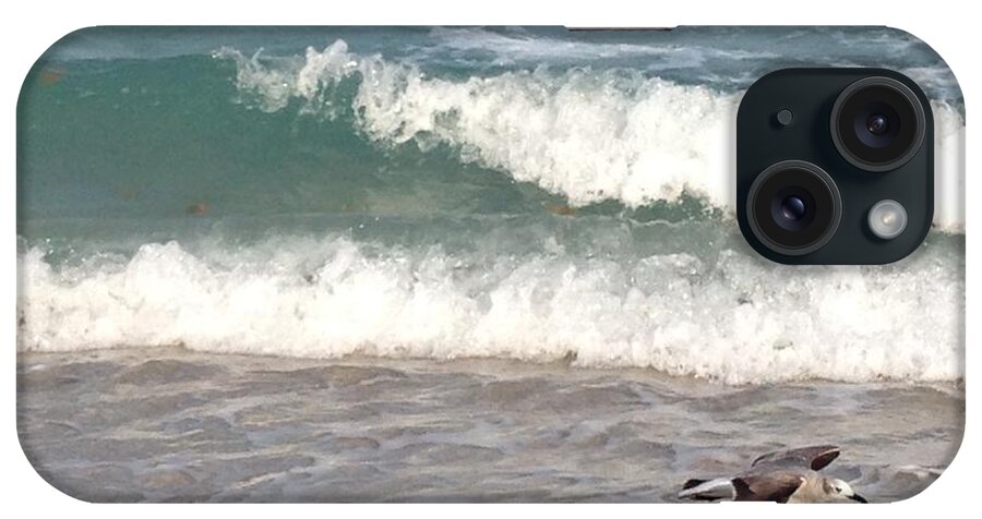 Beach iPhone Case featuring the photograph Spread Your Wings by Kalunda Janae Hilton