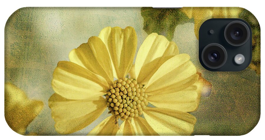 Tucson iPhone Case featuring the photograph Spring Desert Marigold by Steve Kelley