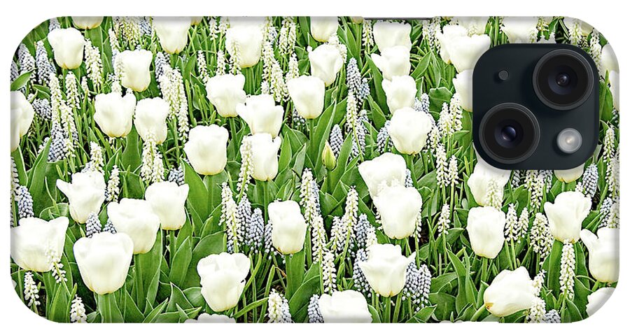 Gardens iPhone Case featuring the photograph Spring Dream by Marilyn Cornwell
