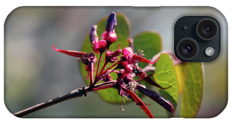 Iran iPhone Case featuring the photograph Spring by Edvator