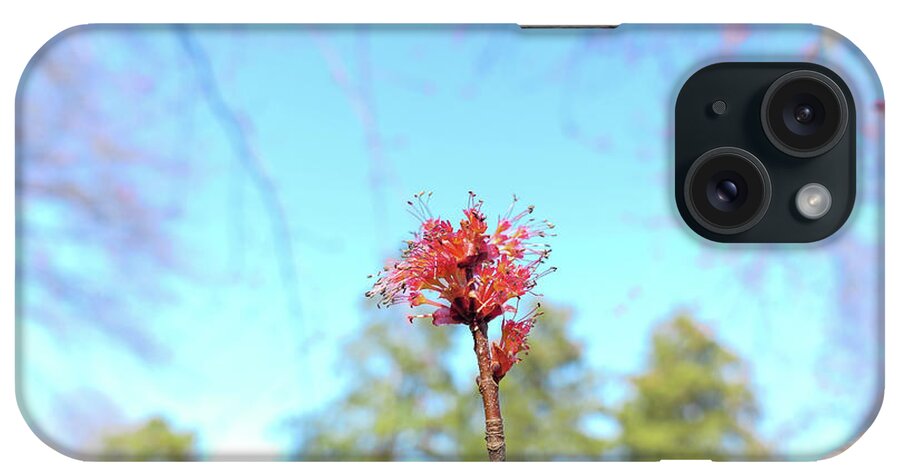 Nature iPhone Case featuring the photograph Spring is Here by Bentley Davis