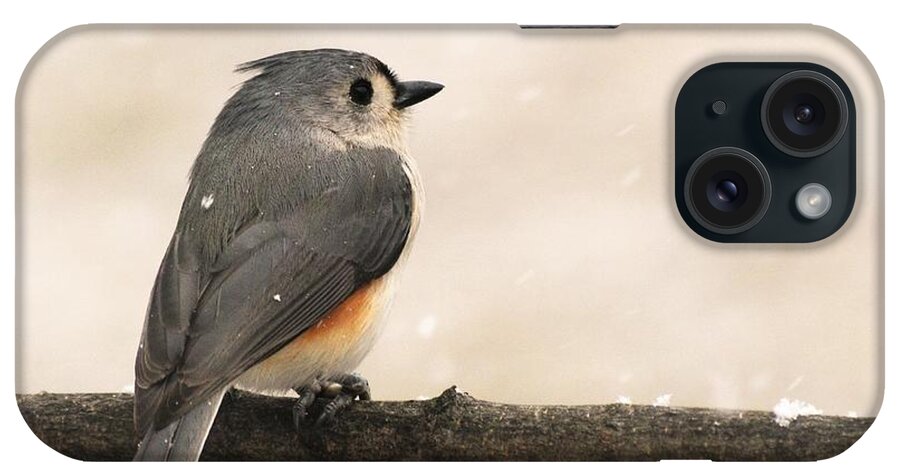 - Spring Snow - Tufted Titmouse iPhone Case featuring the photograph - Spring Snow - Tufted Titmouse by THERESA Nye