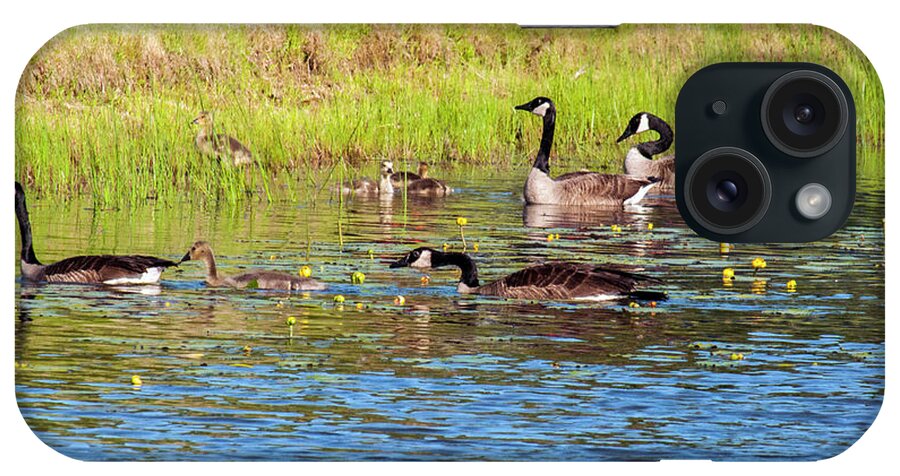 Geese iPhone Case featuring the photograph Springtime At The Pond by Cathy Kovarik