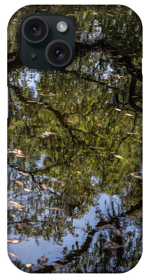 Photograph iPhone Case featuring the photograph Springtime Reflections by Suzanne Gaff