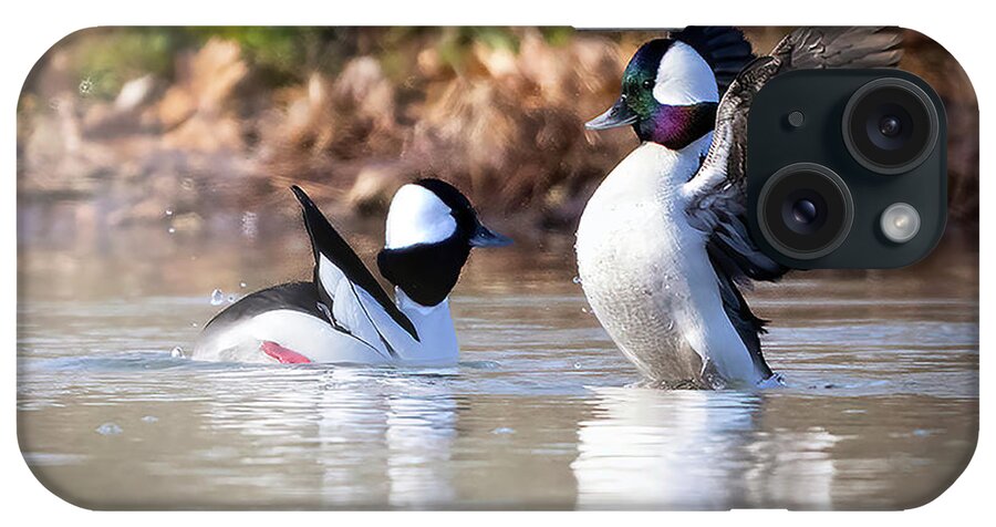 Waterfowl iPhone Case featuring the photograph Sprucing Up by Jim E Johnson