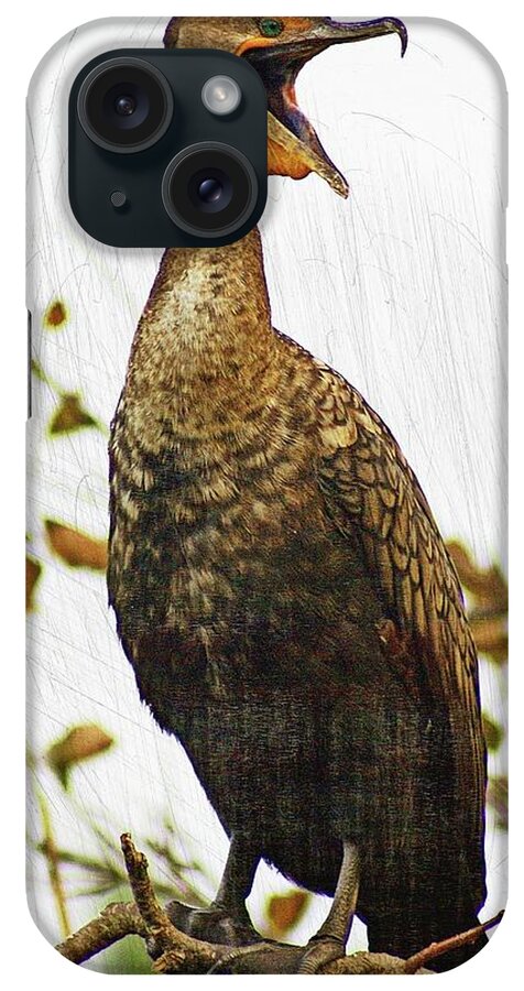 Bird iPhone Case featuring the photograph Squawk Neck by Marty Koch