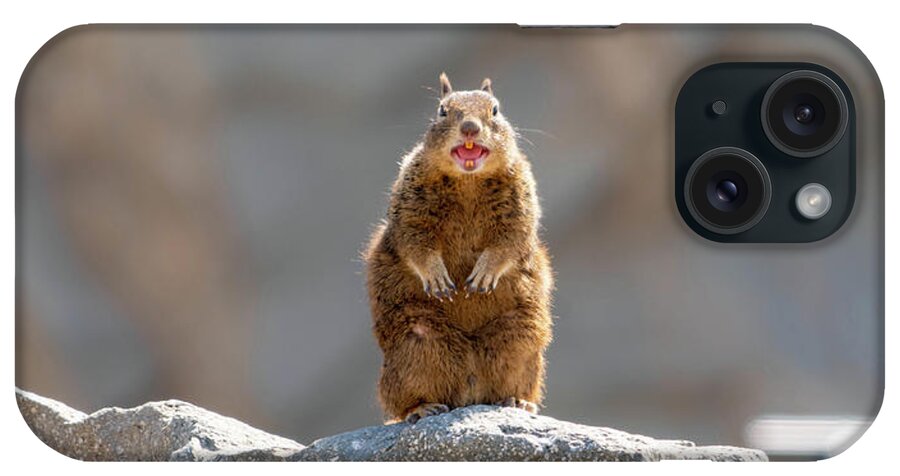 Ground Squirrel iPhone Case featuring the photograph Squeaky The Sand Squirrel by Mike-Hope