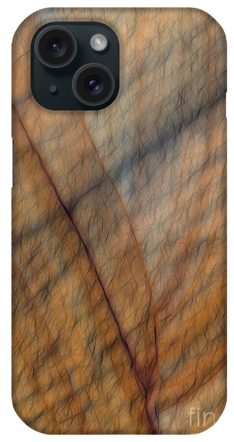 Rock iPhone Case featuring the photograph Squiggles by Elaine Teague