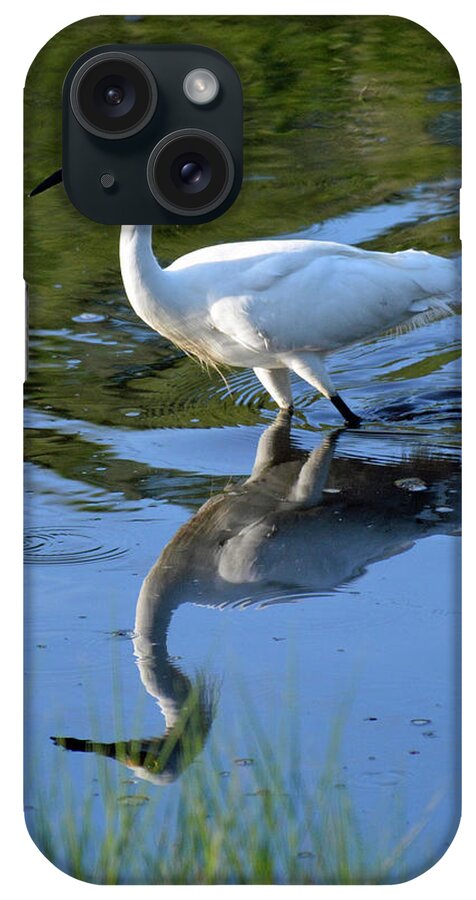 Birds iPhone Case featuring the photograph Stalking Egret on Jekyll Island by Bruce Gourley