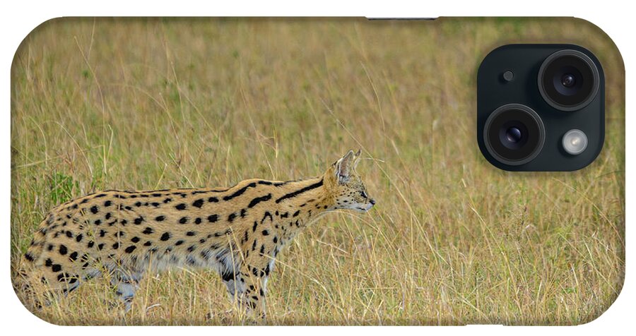 Cat iPhone Case featuring the photograph Stalking Serval by Adrian O Brien