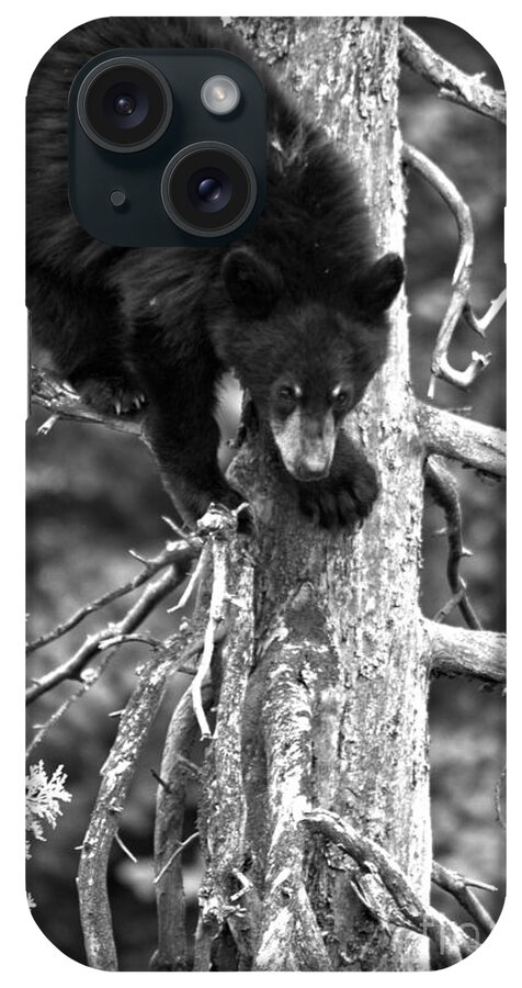 Black Bears iPhone Case featuring the photograph Steep Descent Black And White by Adam Jewell