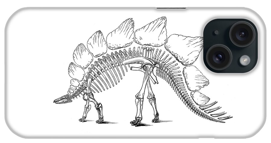 Stegosaurus iPhone Case featuring the digital art Stegosaurus Bones by Madame Memento