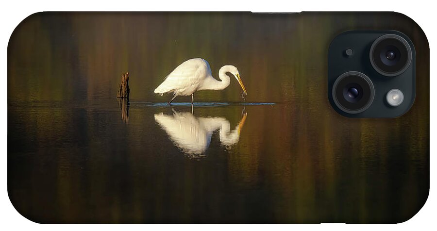 Still iPhone Case featuring the photograph Stillness by Pam Rendall