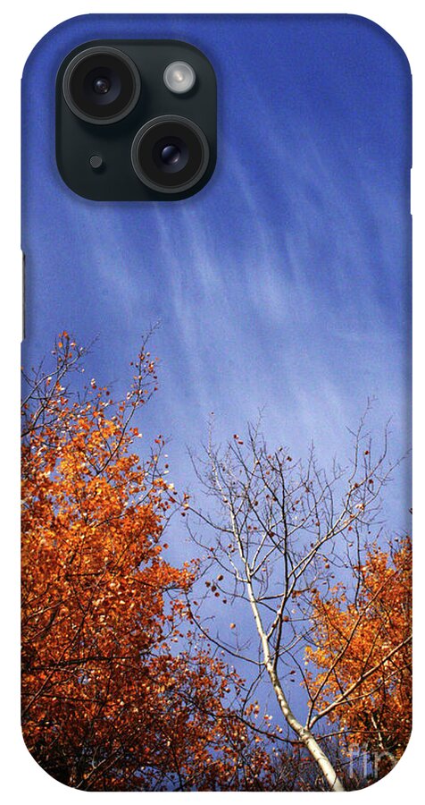 Canada iPhone Case featuring the photograph Streaks of Autumn by Mary Mikawoz