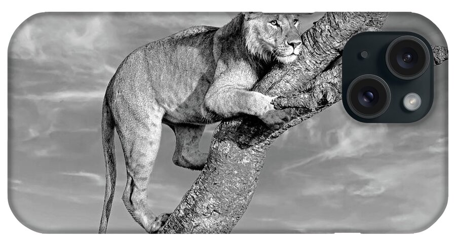 Africa iPhone Case featuring the photograph Subadult Lion Portrait - Monochrome by Eric Albright