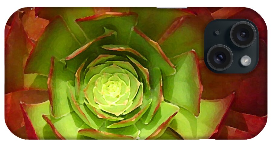 Succulent iPhone Case featuring the photograph Succulent Square Close Up 2 by Amy Vangsgard