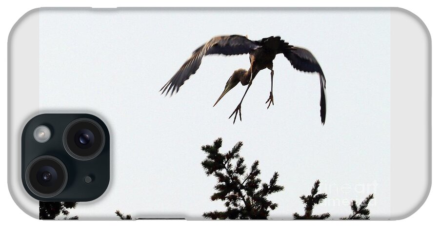 Heron iPhone Case featuring the photograph Such Grace by Kimberly Furey