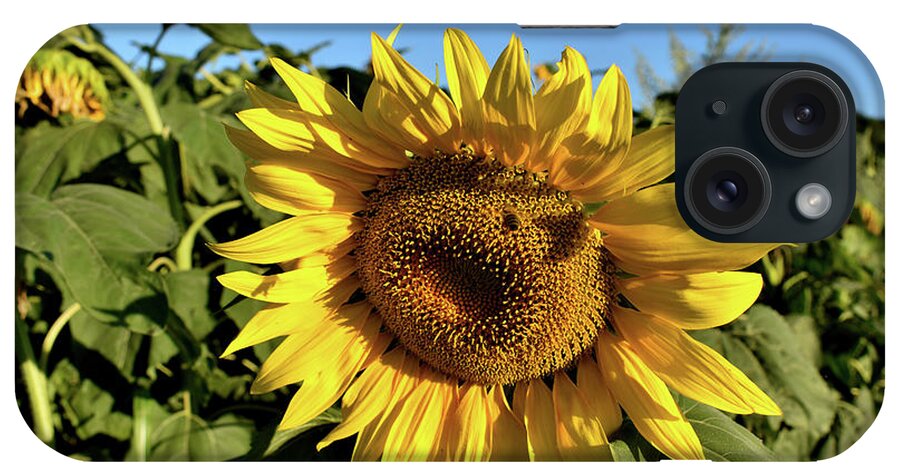 Nature iPhone Case featuring the photograph Summer Chill Out With Sunflowers by Leonida Arte