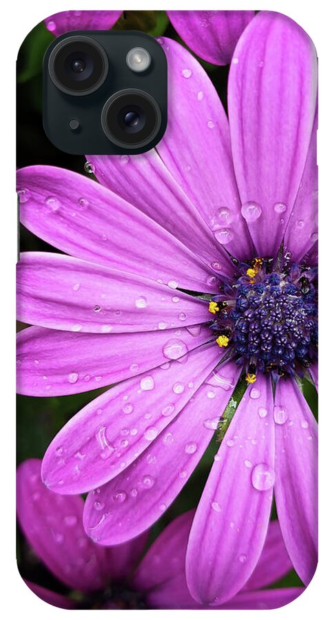 Flower iPhone Case featuring the photograph Summer Flowers by Nicklas Gustafsson