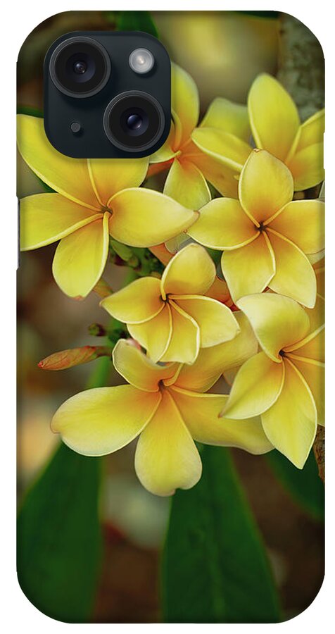 Floral iPhone Case featuring the photograph Summer Plumerias by Jade Moon