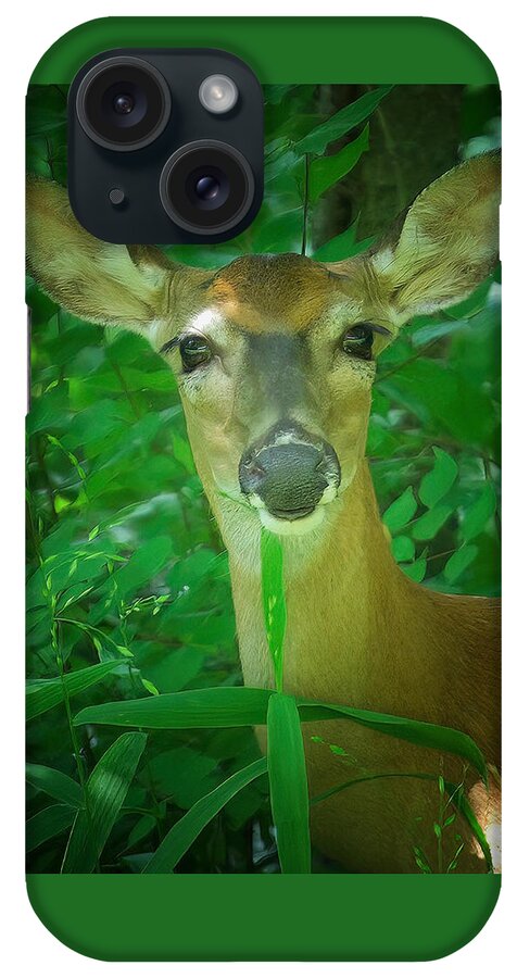 Deer iPhone Case featuring the photograph Summer Lady by DArcy Evans