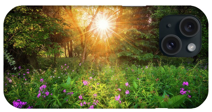 Sunrise iPhone Case featuring the photograph Summer Sunrise in Forest by Henry w Liu
