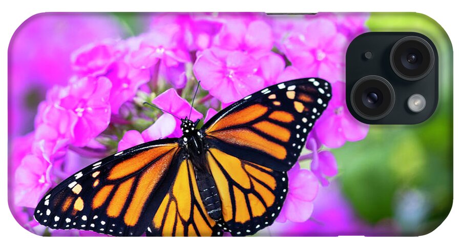 Butterfly iPhone Case featuring the photograph Summer Visitor by Patty Colabuono