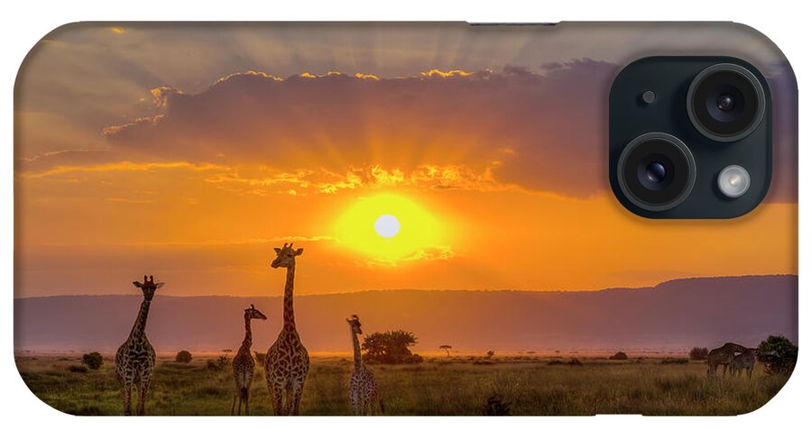 Africa iPhone Case featuring the photograph Sun Flaring Giraffes by Laura Hedien