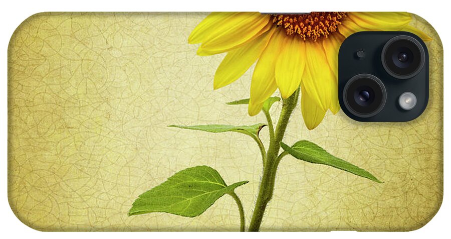 Photograph iPhone Case featuring the photograph Sun Flower by Reynaldo Williams