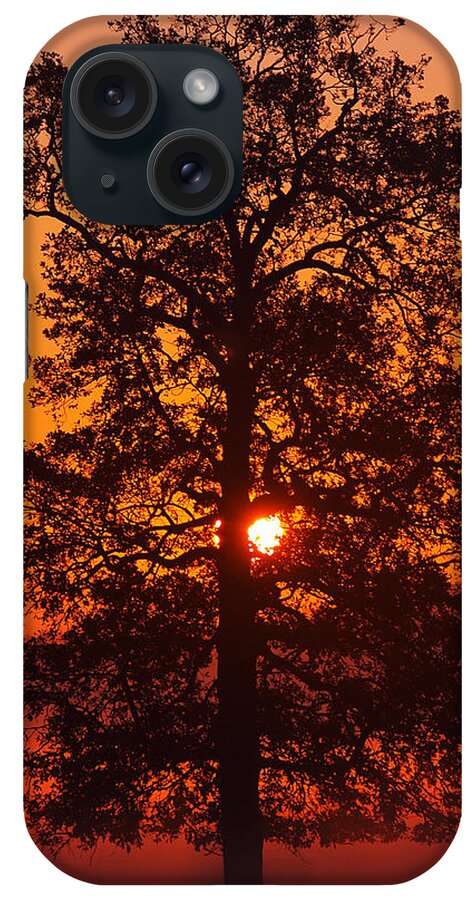 Sunrise iPhone Case featuring the photograph Sun Tree two by Luc Van de Steeg