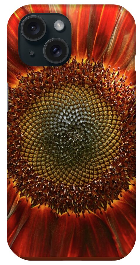 Sunflower iPhone Case featuring the photograph Sunburst by Lens Art Photography By Larry Trager