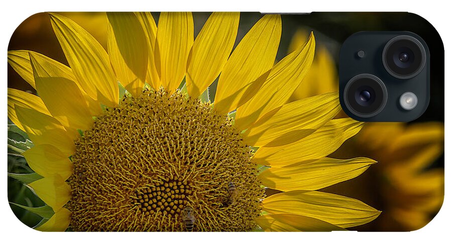 Flowers iPhone Case featuring the photograph Sunflower 2021 by Wolfgang Stocker