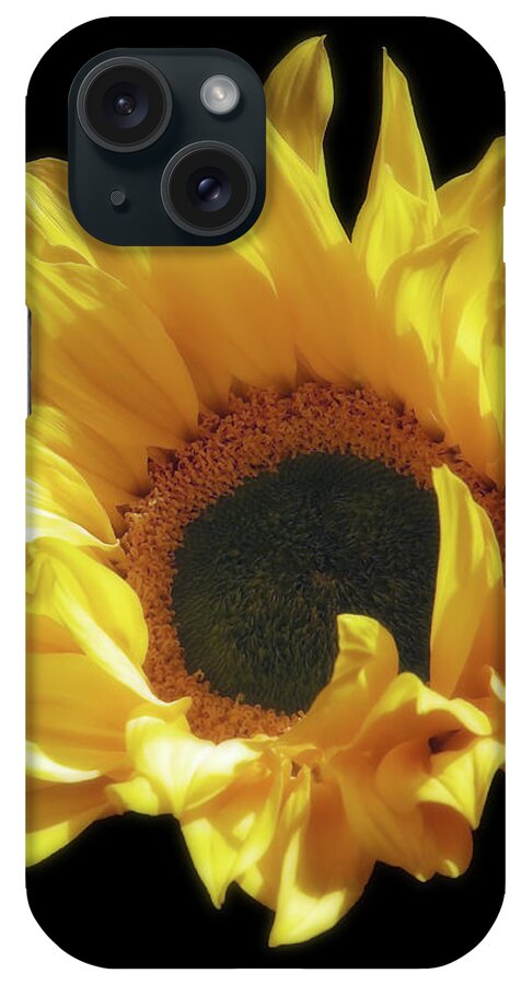 Flower iPhone Case featuring the photograph Sunflower Beauty by Johanna Hurmerinta