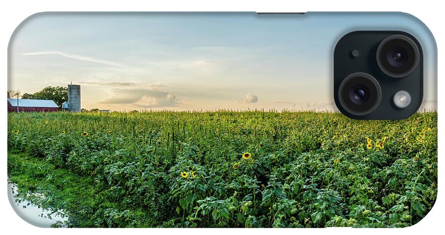 Sunflower iPhone Case featuring the photograph Sunflower Field Reflections by Jennifer White