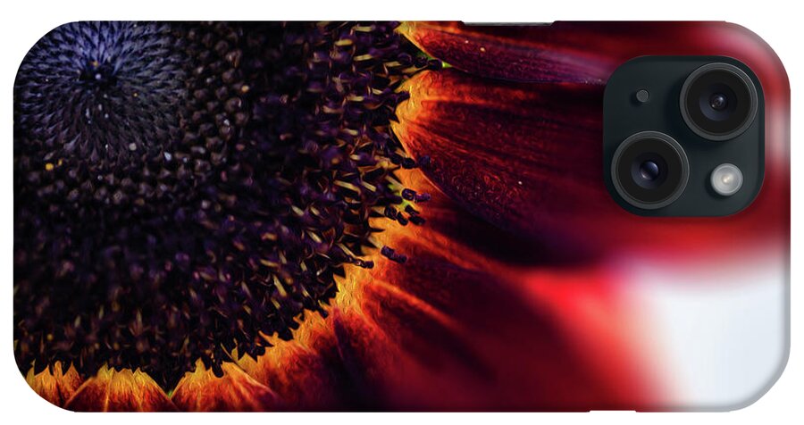  iPhone Case featuring the photograph Sunflower full of fire by Nicole Engstrom