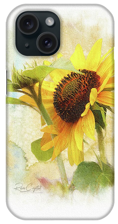 Sunflowers iPhone Case featuring the photograph Sunflower Sunshine by Rene Crystal