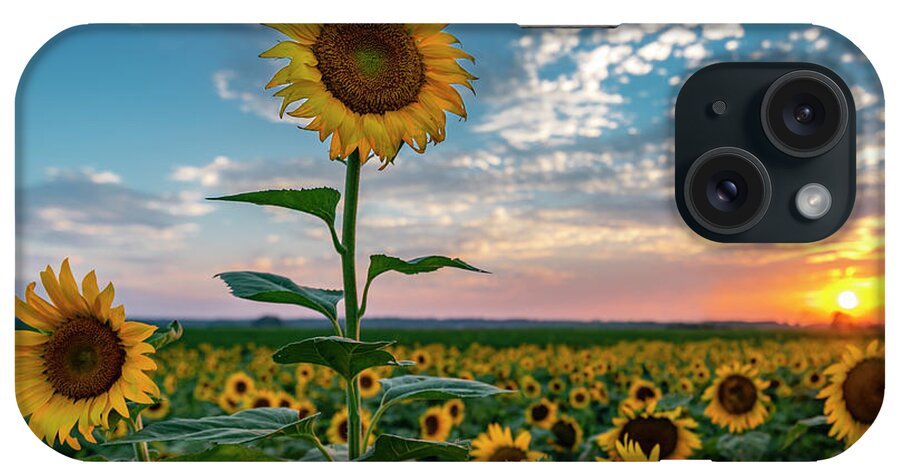 Landscape iPhone Case featuring the photograph Sunflowers at Sunset by Michael Smith