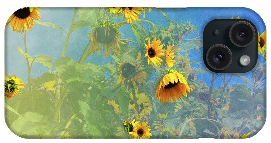 Sunflower iPhone Case featuring the photograph Sunflowers Color Burst by Paul Giglia