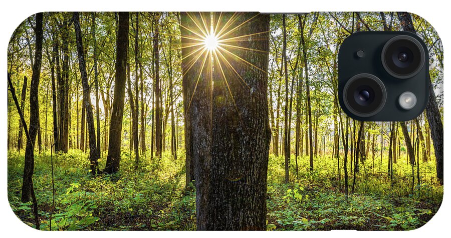 Trees iPhone Case featuring the photograph Sunlight Through The Trees by Jordan Hill