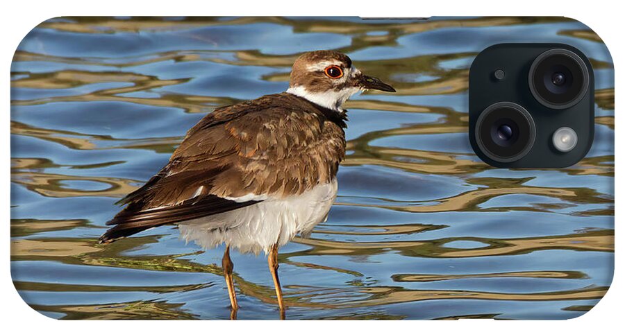 Killdeer iPhone Case featuring the photograph Sunlit Killdeer in Rippling Reflections by Kathleen Bishop
