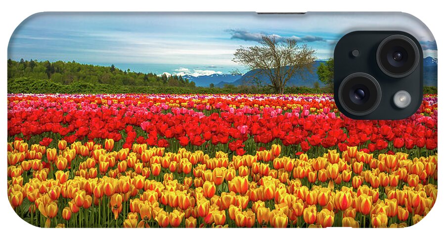 Alex Lyubar iPhone Case featuring the photograph Sunny colorful tulip fields by Alex Lyubar
