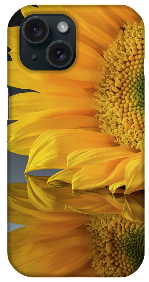 Sunflower iPhone Case featuring the photograph Sunny Reflection by John Rogers
