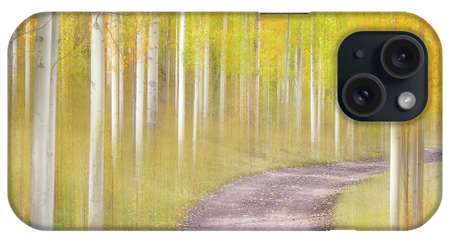 Fall Colors iPhone Case featuring the photograph Sunny Stroll Through the Woods by Darren White