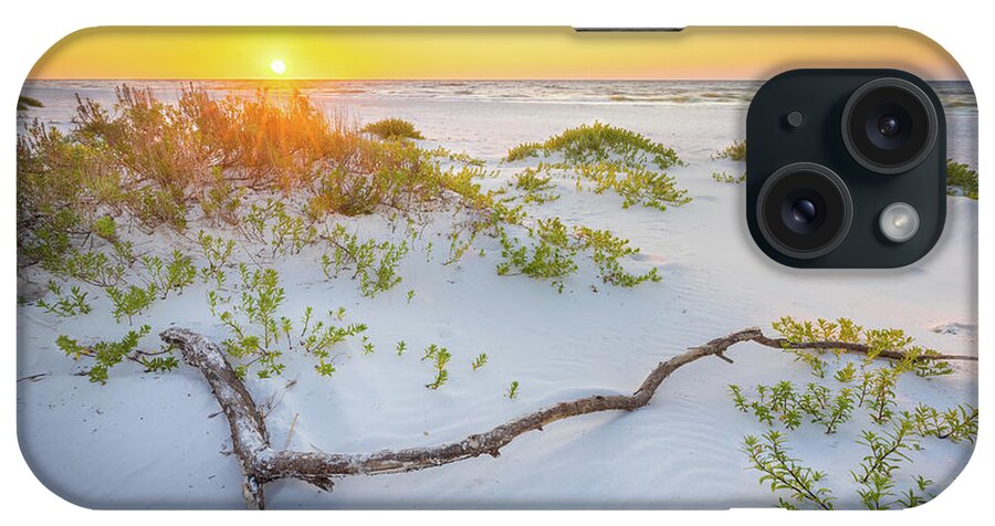 Beach iPhone Case featuring the photograph Sunrise And Driftwood At The Gulf Islands National Seashore by Jordan Hill