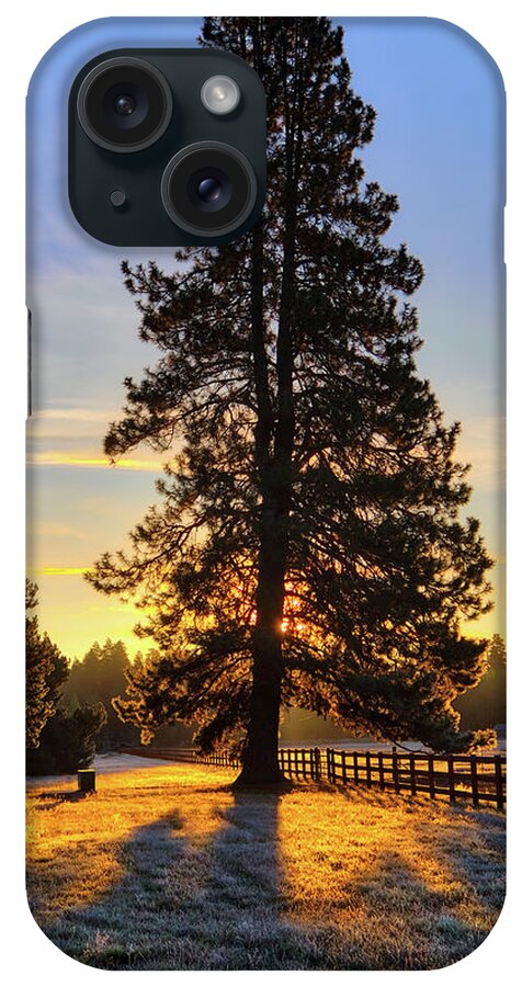 Ponderosa Pine iPhone Case featuring the photograph Sunrise Pine by Loyd Towe Photography
