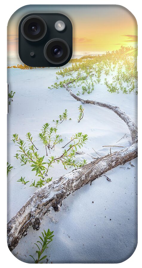 Beach iPhone Case featuring the photograph Sunset And Driftwood At The Gulf Islands National Seashore by Jordan Hill