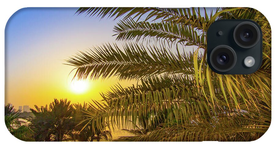 Dubai iPhone Case featuring the photograph Sunset and Palm Tree by SR Green
