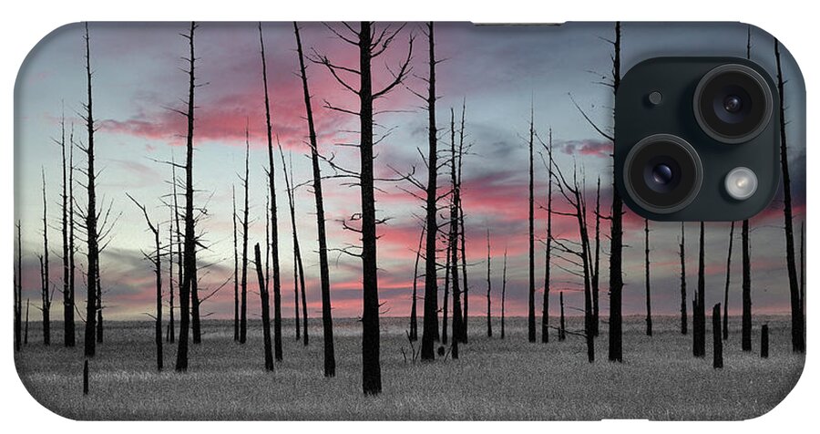 Art iPhone Case featuring the photograph Sunset in the Cedar Swamp by Louis Dallara