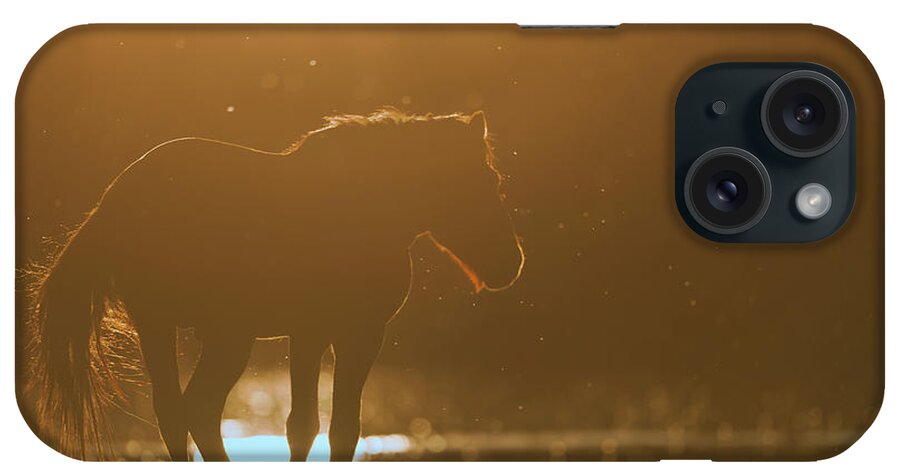 Silhouette iPhone Case featuring the photograph Sunset by Shannon Hastings