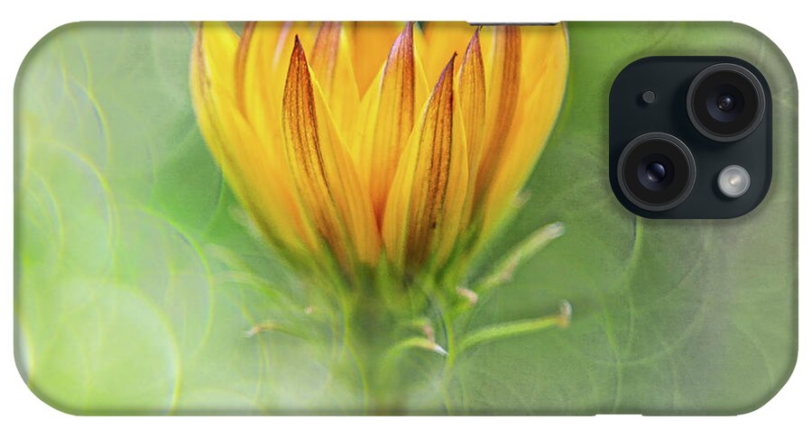 Gardens iPhone Case featuring the photograph Sunshine Day by Marilyn Cornwell